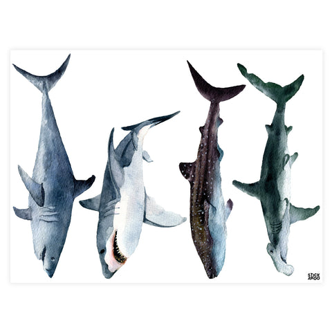Four Sharks