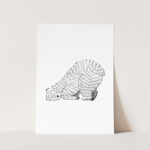 Furry Bear Print l