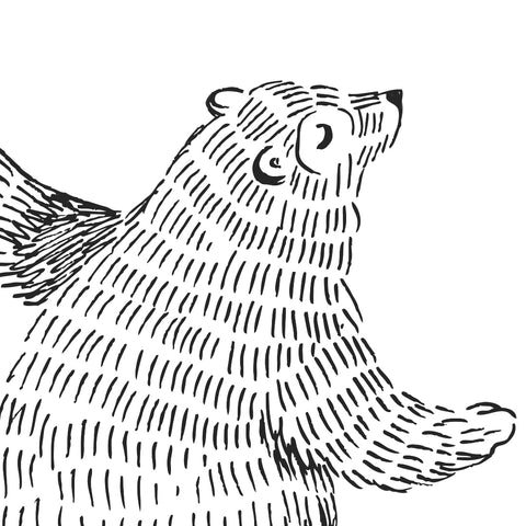 Furry Bear Print ll