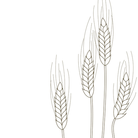 Wheat Grass Print
