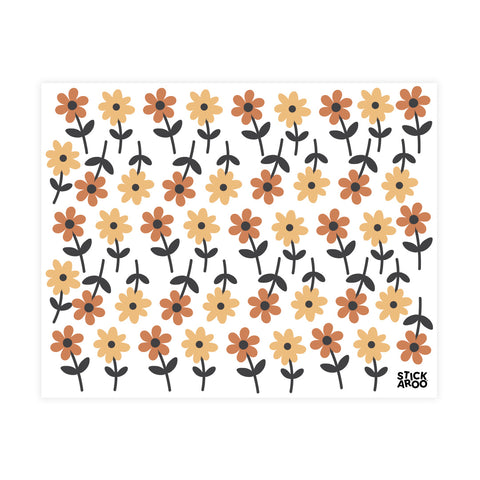 Daisy Sprouts