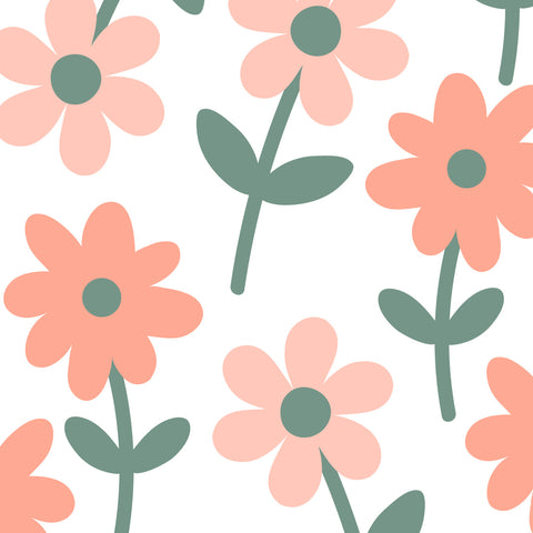 Daisy Sprouts