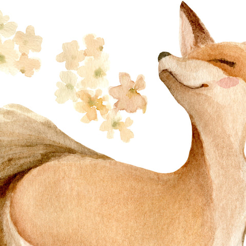 Fox & Wildflowers