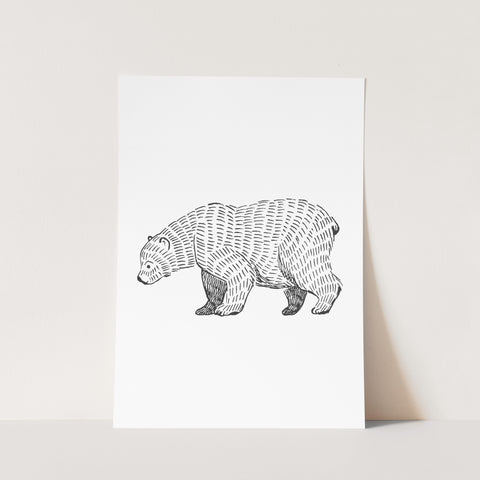 Furry Bear Print lll