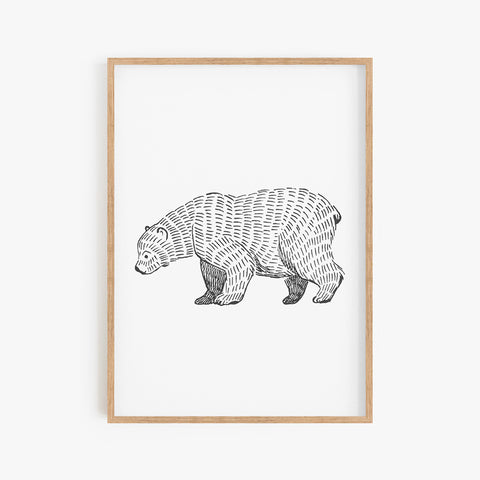 Furry Bear Print lll