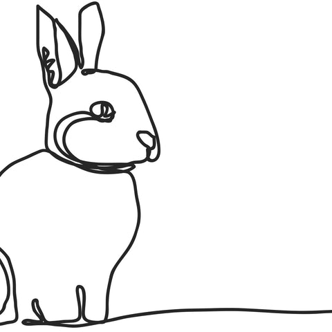 Linear Bunny Print ll