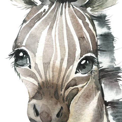 Little Zebra Print