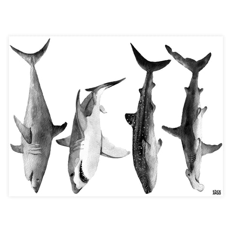 Monochrome Sharks