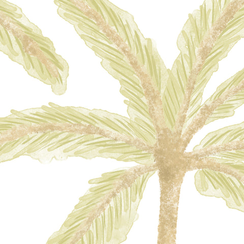 Small Palm Trees
