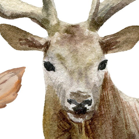 Two Deers