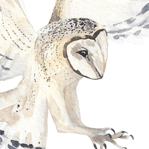 Watercolour Owls