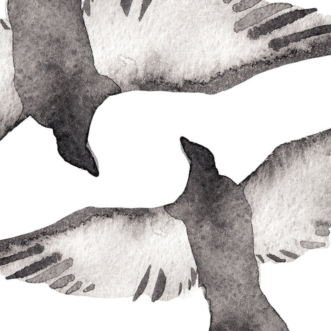 Watercolour Ravens
