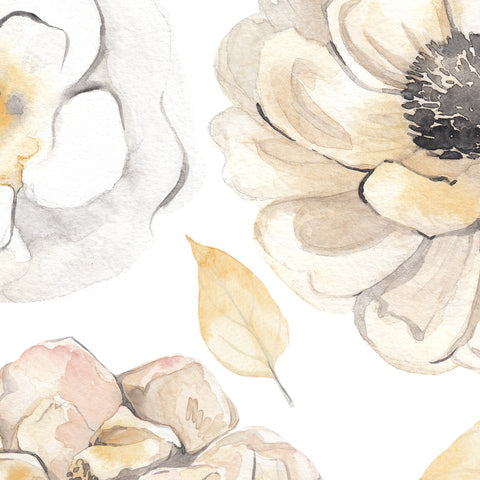 Chrysanthemum Flowers