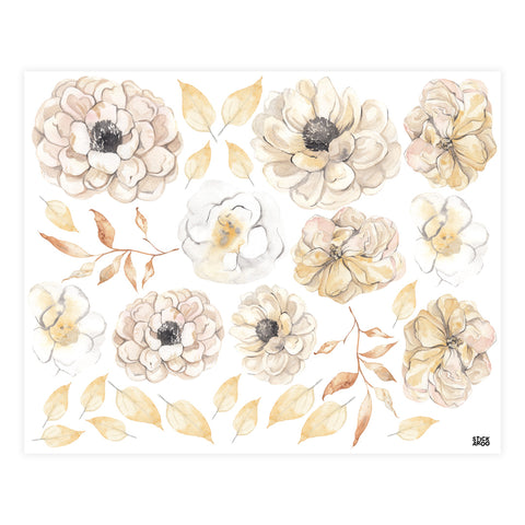 Chrysanthemum Flowers