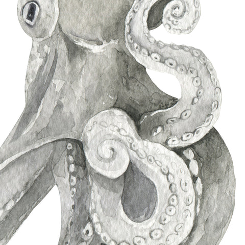 Oceana Octopus